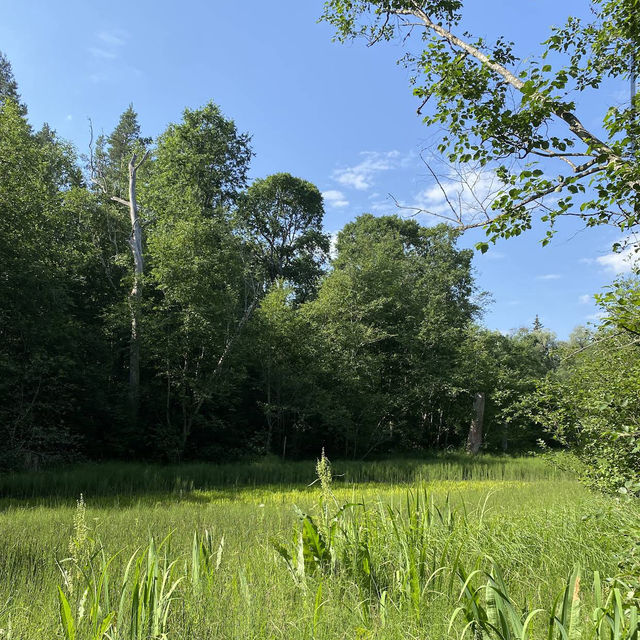 Gauja National Park Gaujas Nacionālais parks