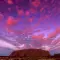 elysian_5265