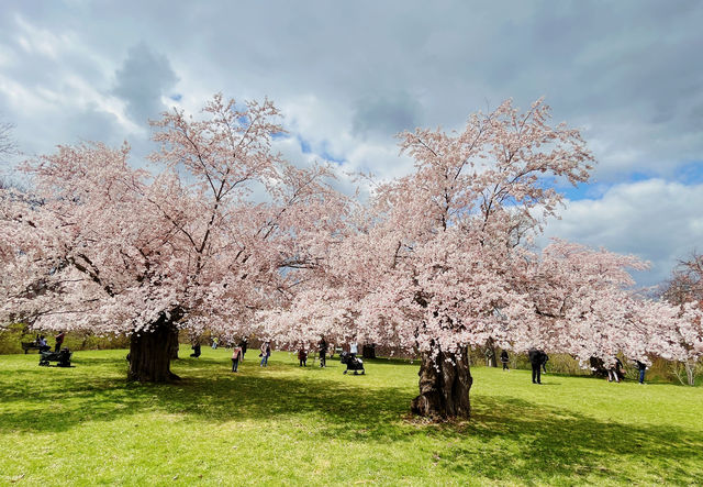 Early spring at the Royal Botanical Gardens in Canada.