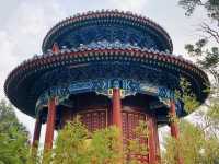 A Park that Overlooks Forbidden City!🇨🇳