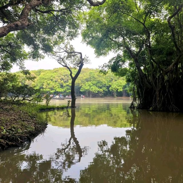 🛶When The Forest Gets Flooded Water 🛶