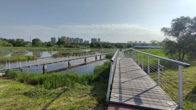 哈爾濱文化中心濕地公園