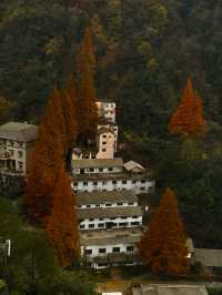 來自杭州臨安大明山的秋天