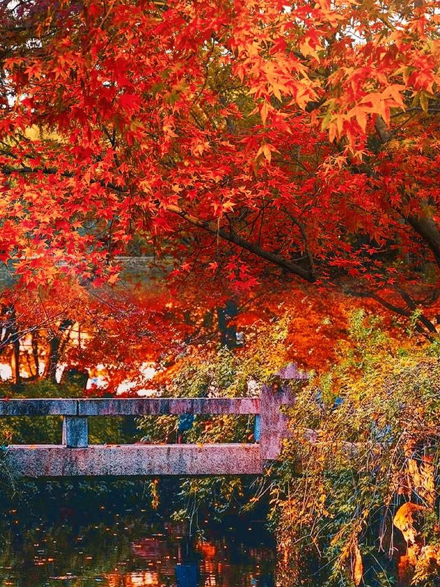 不是日本,真的真的是上海!! 不是日本,真的真的是上海!!