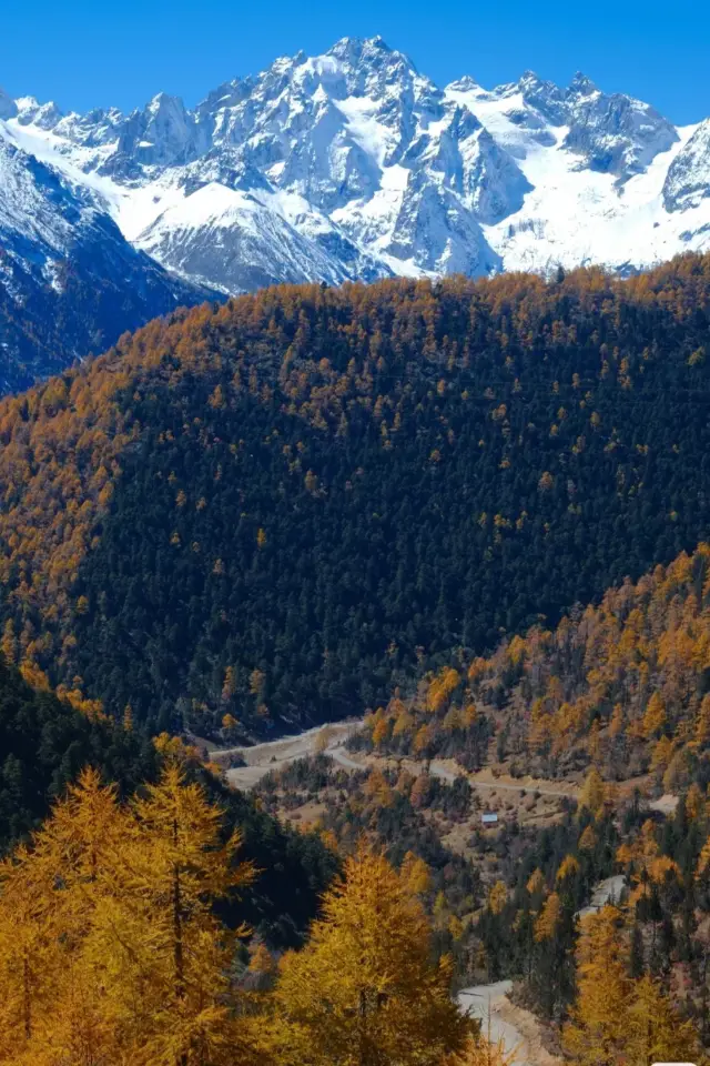 梅里下來我在白馬雪山拍到了人間油畫