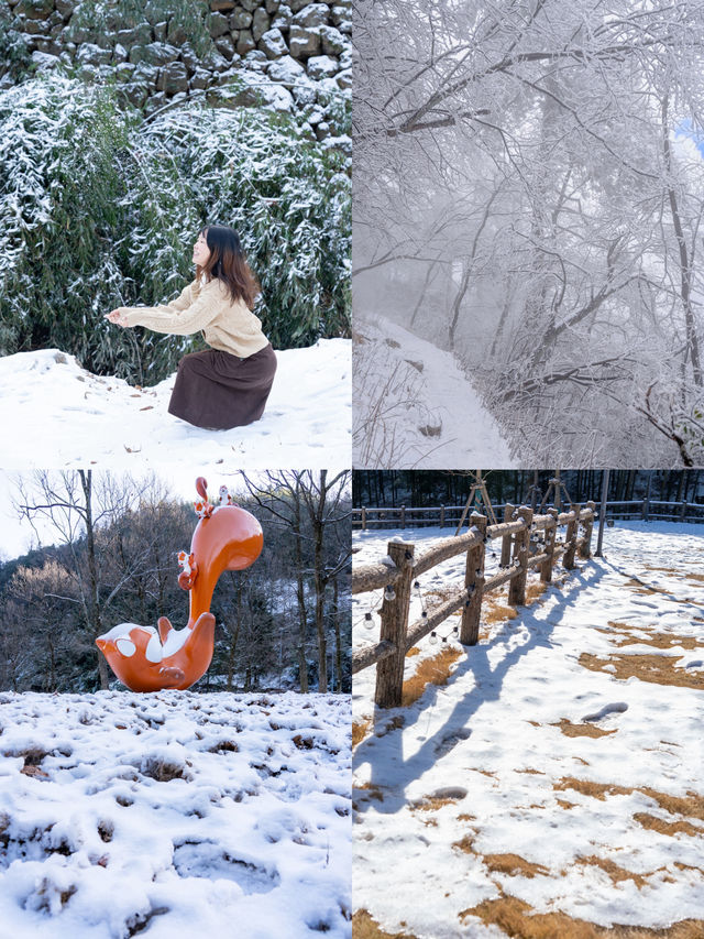 原本以為浙西天池雪景已經夠美了！