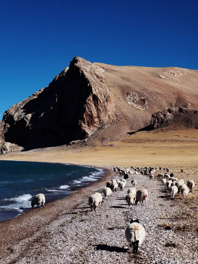 티베트 샐린 촉 | 티베트의 가장 큰 악마 호수