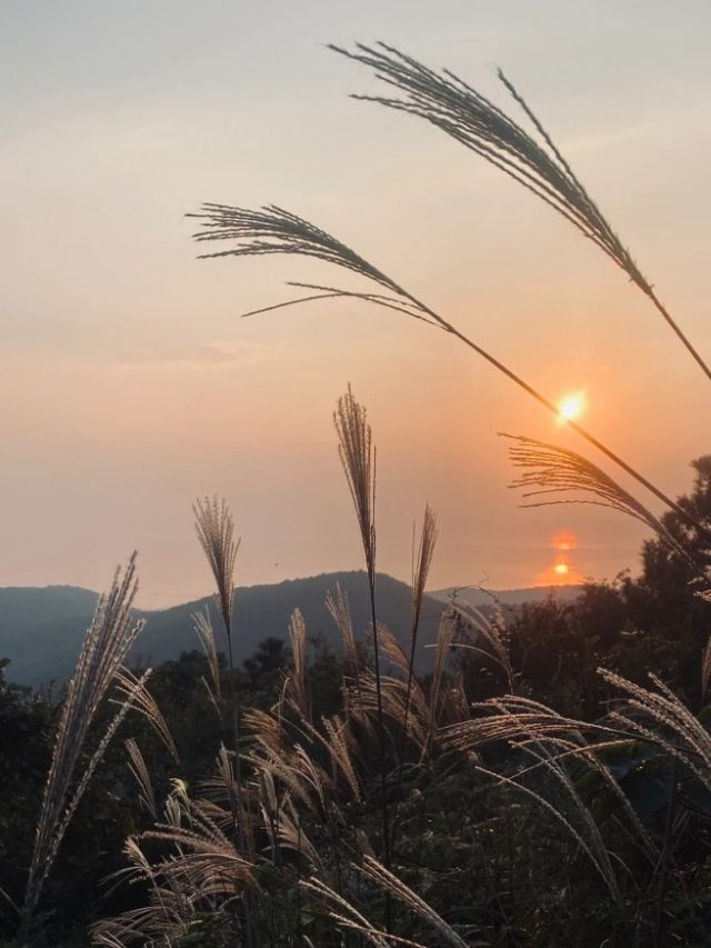 西山島丨一年一度的聖誕節就快到了，給大家帶來最實在的優惠活動