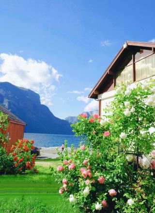 Norwegian fjord town - Exploring the natural wonders of the town!