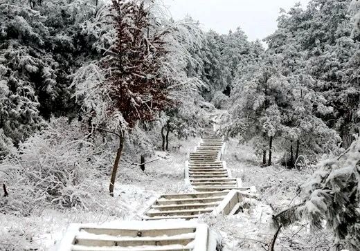 康縣：邀您共賞冬日美景