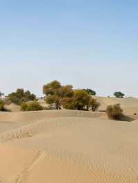 南疆：穿越塔克拉瑪幹的G580沙漠公路