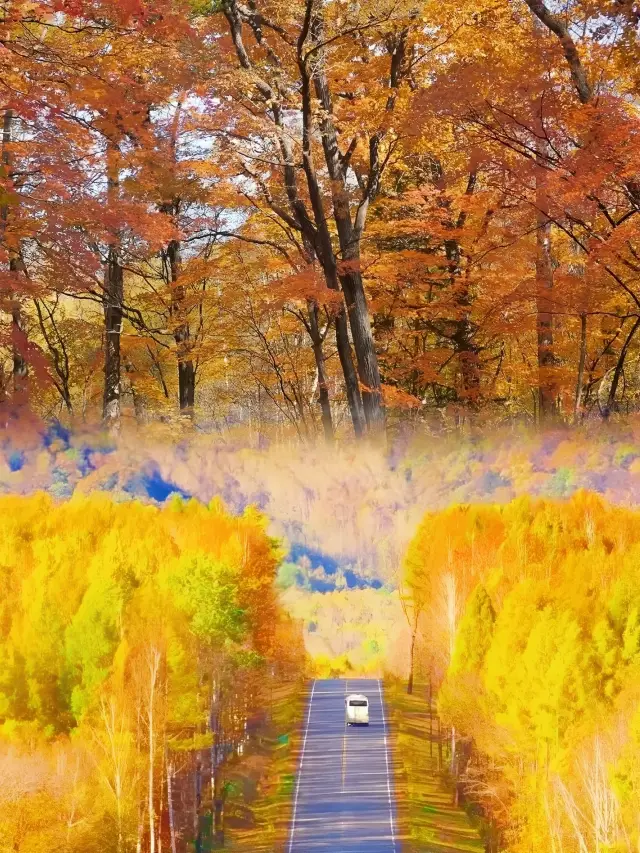 The autumn scenery of Changbai Mountain is really seriously underestimated!