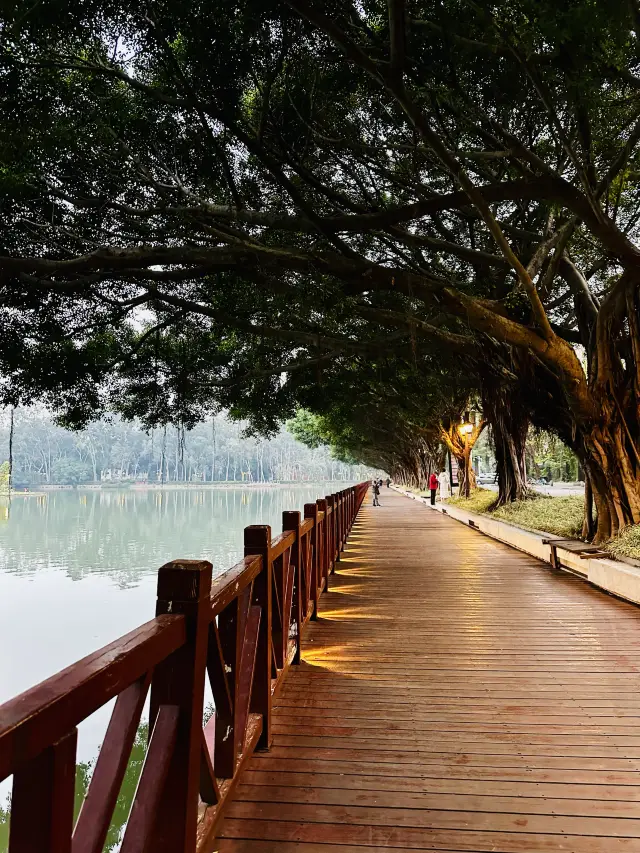 Fuzhou West Lake Park - A down-to-earth people's park