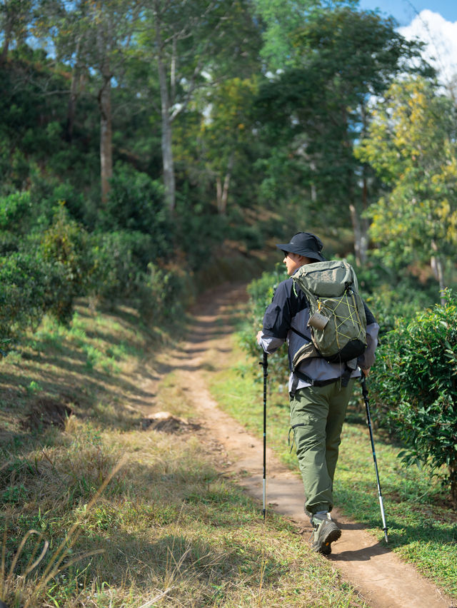 穿越千年古寨茶山的徒步之旅丨用腳步感受風和歷史的溫度