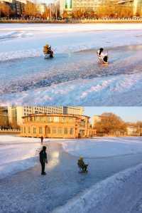 雪後漫步｜有年味的公園