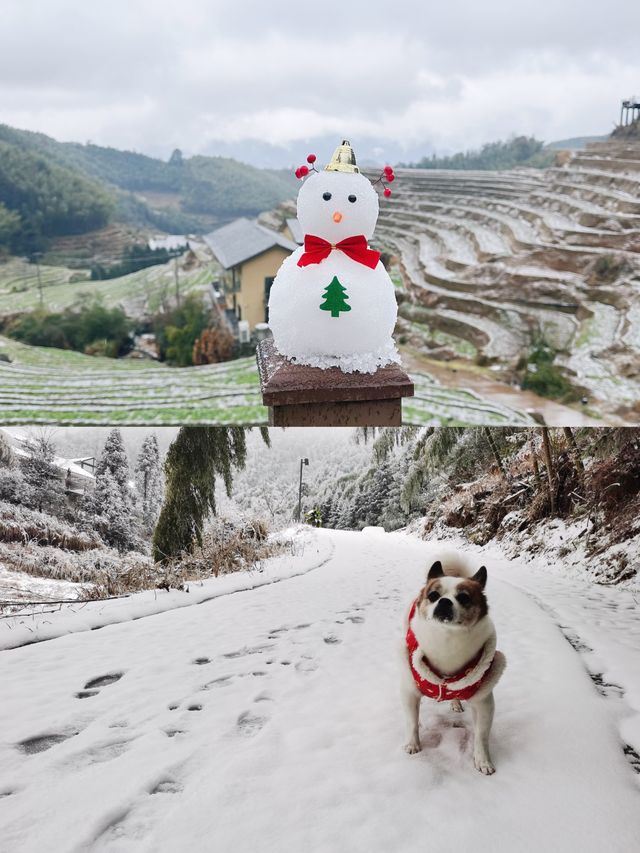 寶子們，下雪天必打卡的民宿