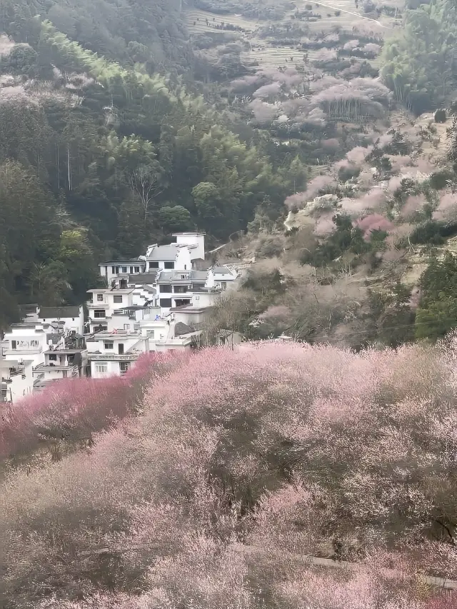 Check in at the flower-selling fishing village