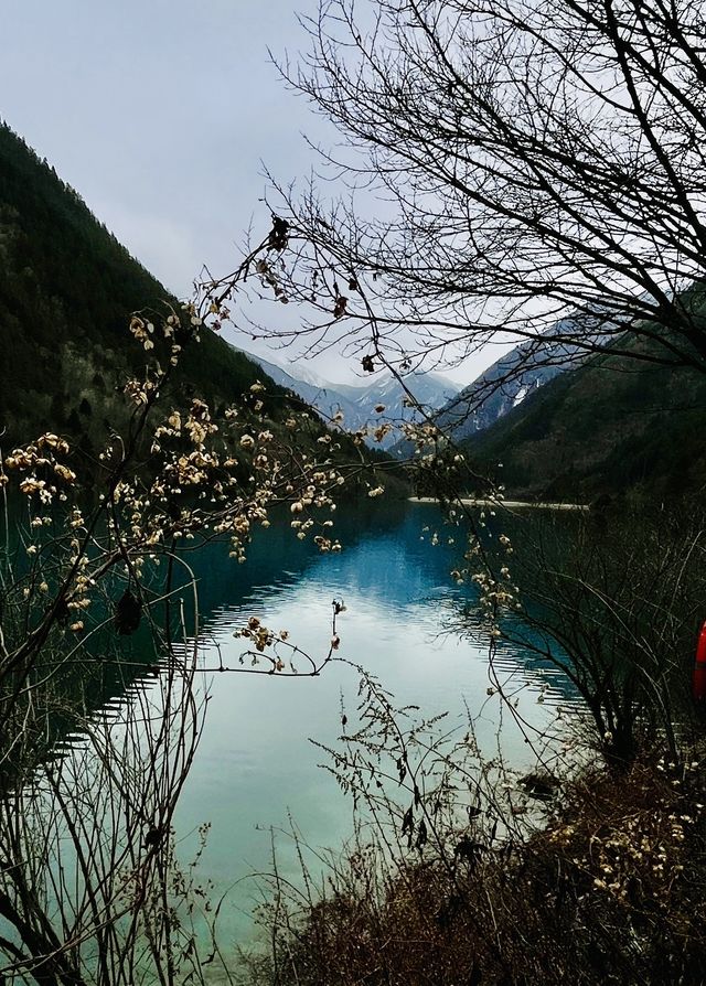 山是水中畫，水是山裡魂—九寨遊記一