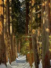 長野·戶隱神社