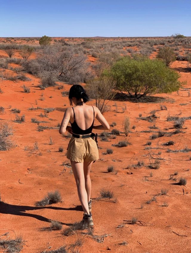 澳洲絕美的小眾旅行分享
