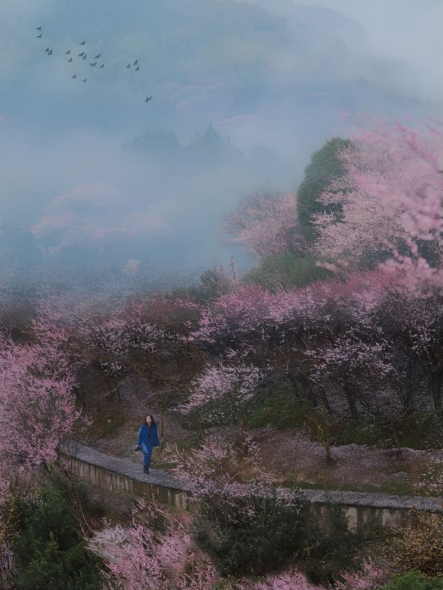 只賣花不打漁！ | 這個皖南仙境藏不住了!