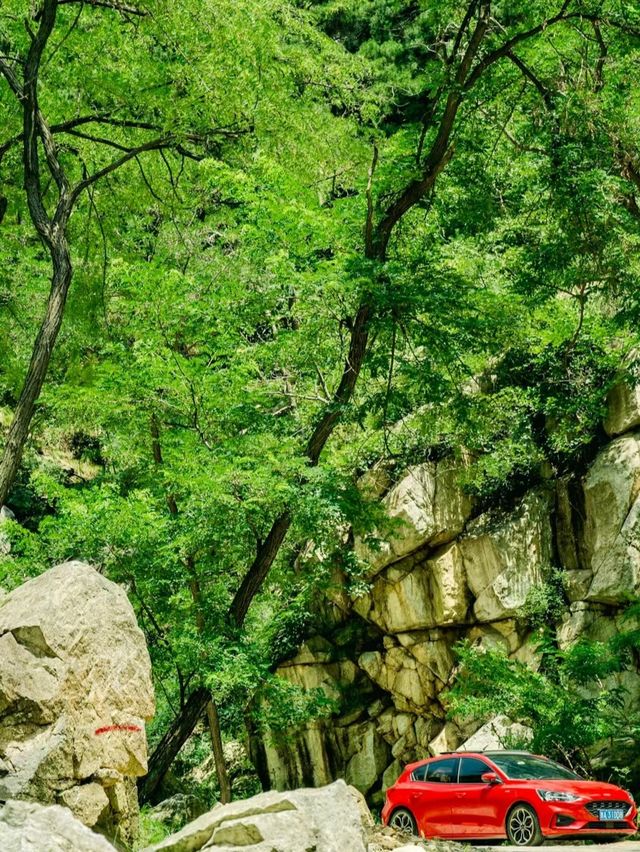 濟南遛娃|七月藥鄉森林公園，真的可以封神