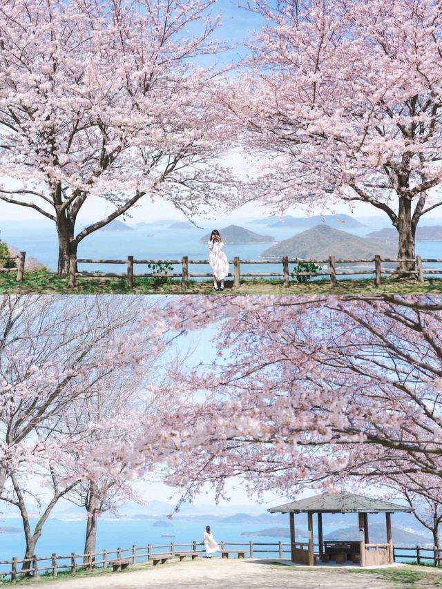 日本櫻花·一個人旅行·重新認識自己的機會