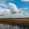 Matthew Thompson25 Serenity