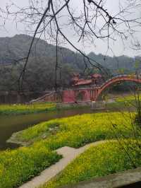 四川｜樂山，凌雲寺大佛，堅持才能到達