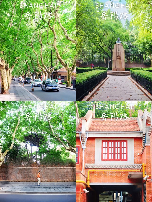 Shanghai's Top Five Internet Celebrity Check-in Spots【Super•Collection】