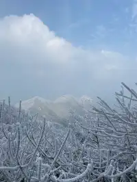 冬天的第一場雪｜我在鸬鳥山看了絕美霧凇
