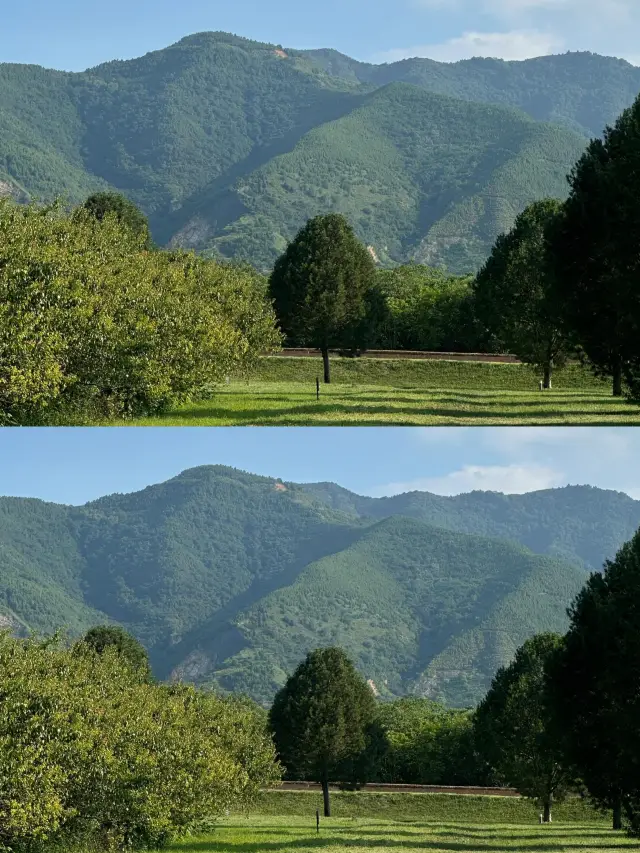 秦王の地下宮殿探検：麗山園と神秘の兵馬俑