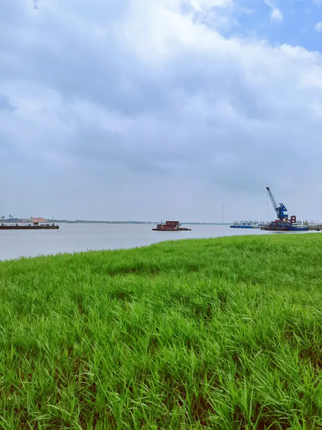 Cycling on Hengsha Island, Dingzhiba, Xiaobaita, and little crabs