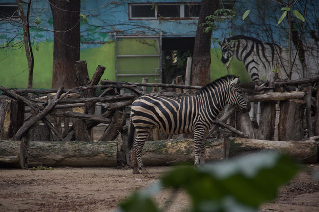 一年至少要來一次的動物園就是他了