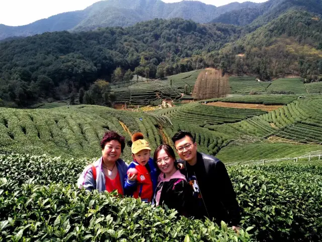 Self-Drive Tour of Jiangnan Flower Viewing (Part 15): Hangzhou Longwu Tea Garden and Xishan Forest Park