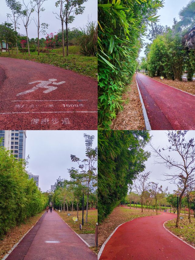儋州｜南茶公園，竟然鋪了條塑膠步道！