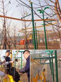 魔都遛娃|寶山又一大型兒童樂園開業啦!