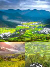 三月賞花去篁嶺，萬畝油菜花花海美到窒息
