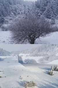 重慶武隆仙女山2024玩雪最全攻略