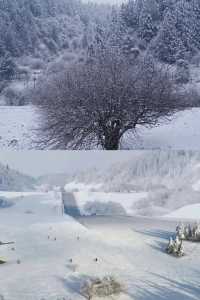 重慶武隆仙女山2024玩雪最全攻略