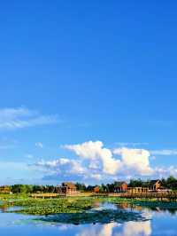 長嶺湖～免費體驗避暑，消夏好去處