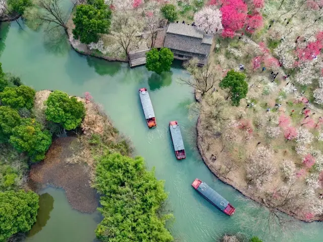 The plum blossoms in Hangzhou are in bloom, sharing 8 great places to enjoy the plum blossoms