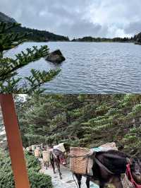 掛壁溫泉--螺髻山九十九里溫泉瀑布