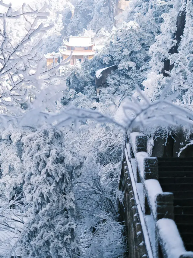 Chizhou · Jiuhua Mountain | Wander through a snowy painting at the mountain peak