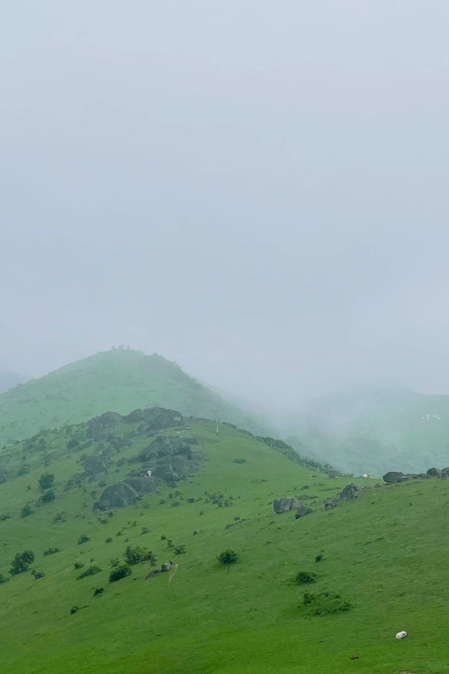 福清·大姆山草場｜被低估的平替版武功山