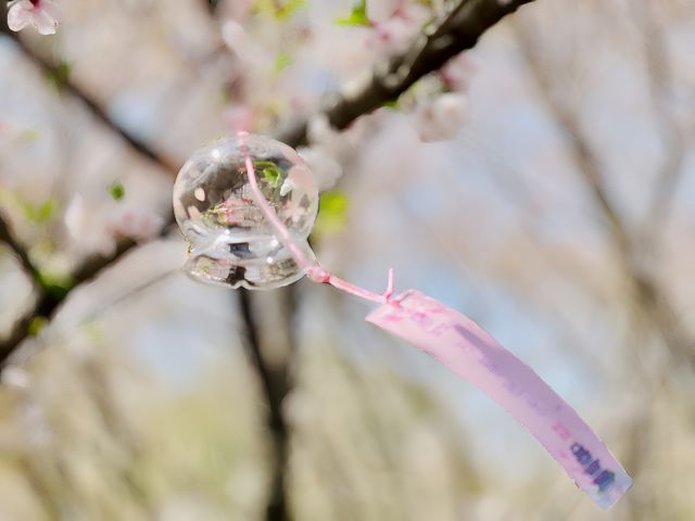 走！去無錫賞櫻--3天2夜休閒遊