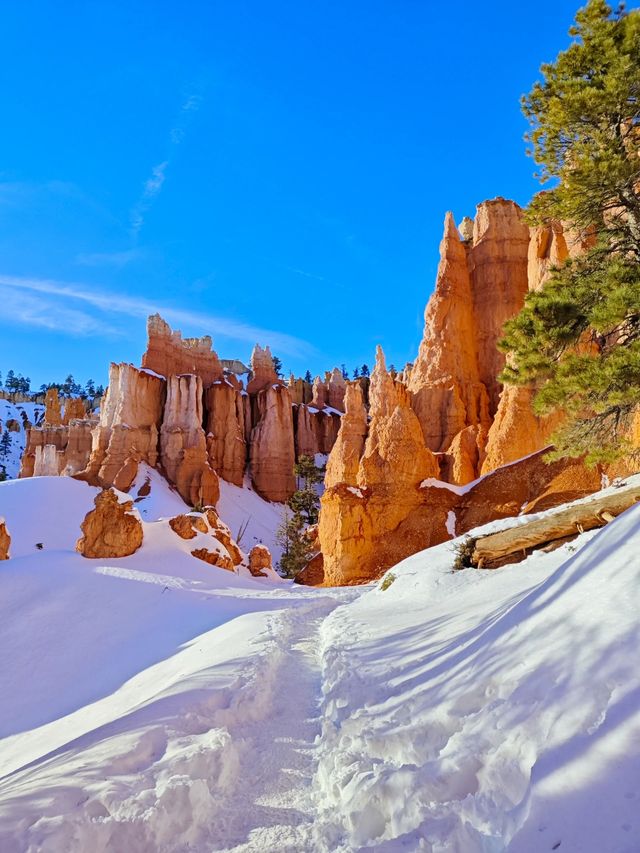 Bryce Amphitheater!!!不可思議的一行萬里路