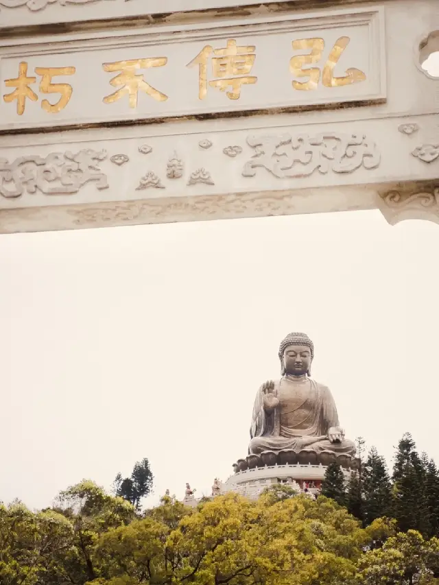 香港の大屿山に行って天坛大佛を見に行きます