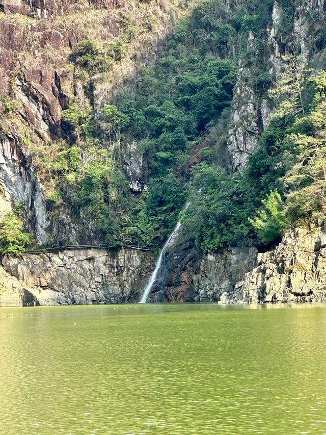 打卡永安龍頭國家濕地公園
