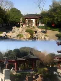 未到林園，春色何處可知否
